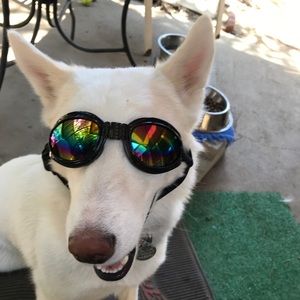 Meet your Posher, Machelle